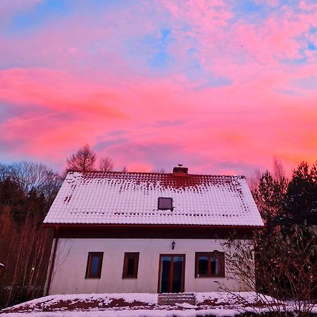 Dom Na Pstraznicy Villa Kudowa-Zdrój Exteriör bild
