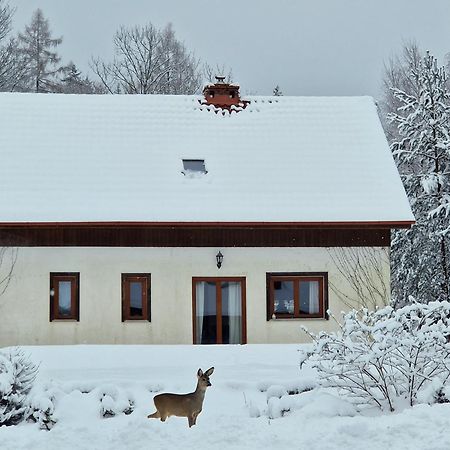Dom Na Pstraznicy Villa Kudowa-Zdrój Exteriör bild