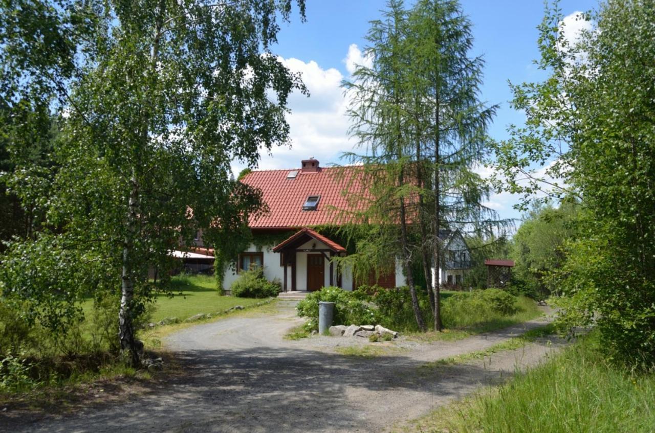Dom Na Pstraznicy Villa Kudowa-Zdrój Exteriör bild