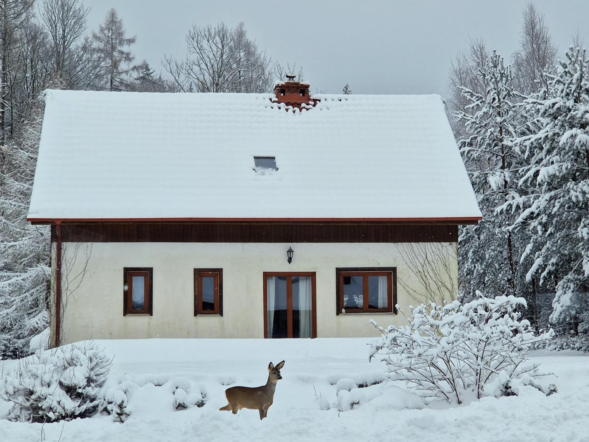 Dom Na Pstraznicy Villa Kudowa-Zdrój Exteriör bild