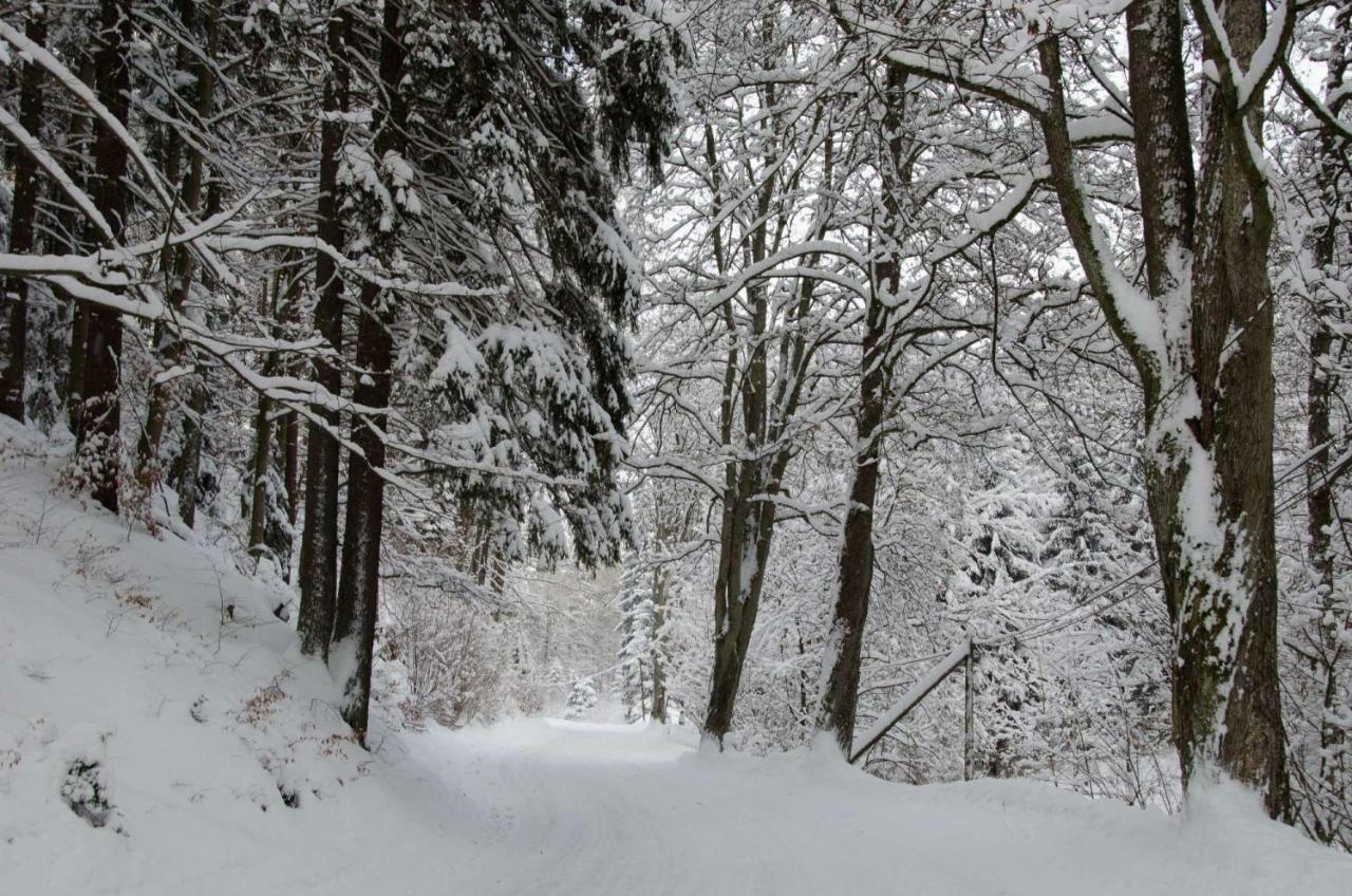 Dom Na Pstraznicy Villa Kudowa-Zdrój Exteriör bild
