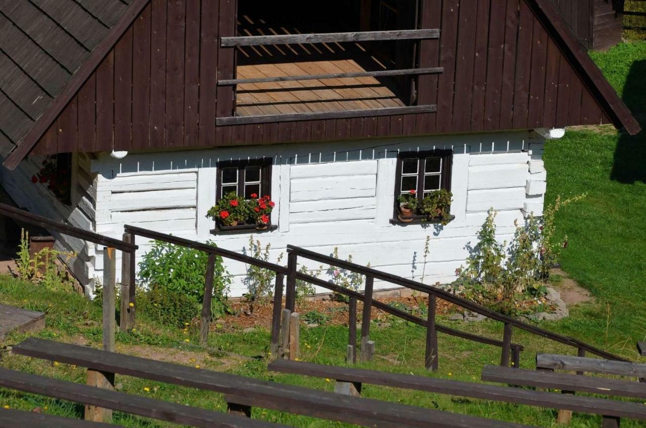 Dom Na Pstraznicy Villa Kudowa-Zdrój Exteriör bild