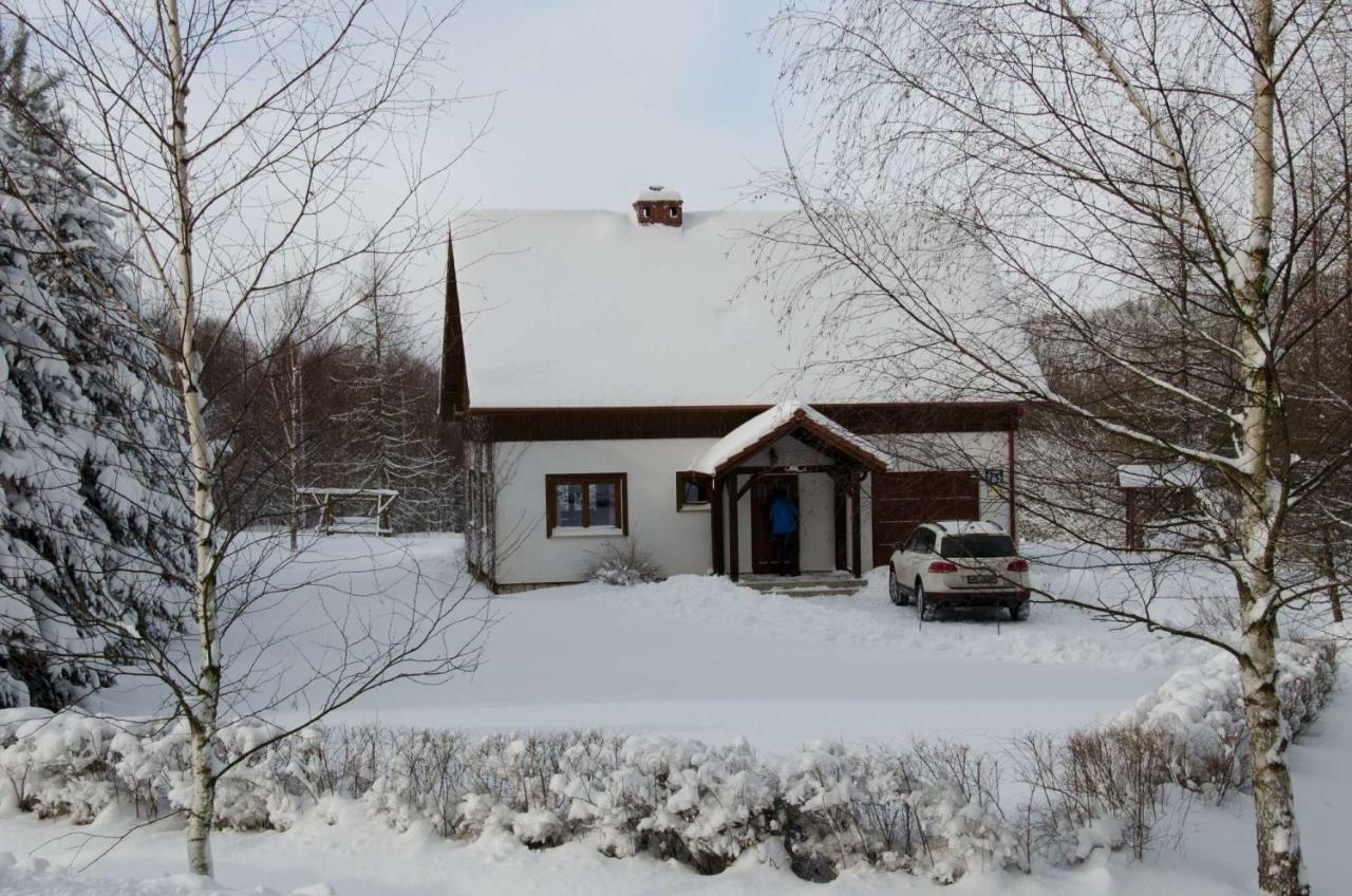 Dom Na Pstraznicy Villa Kudowa-Zdrój Exteriör bild