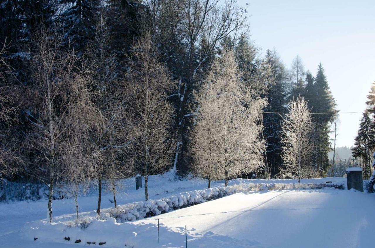 Dom Na Pstraznicy Villa Kudowa-Zdrój Exteriör bild