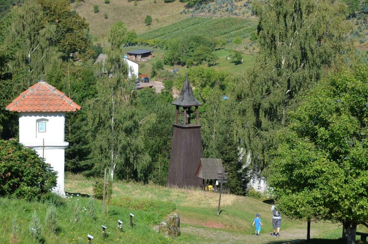 Dom Na Pstraznicy Villa Kudowa-Zdrój Exteriör bild