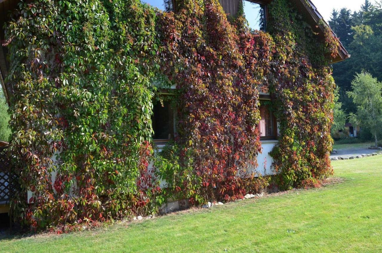 Dom Na Pstraznicy Villa Kudowa-Zdrój Exteriör bild
